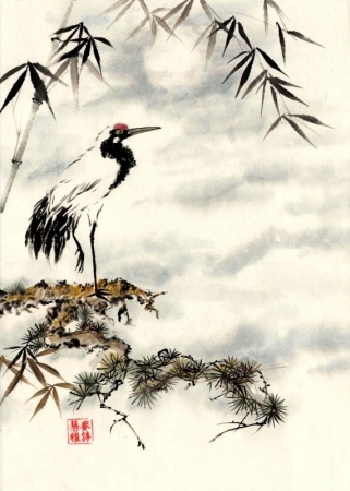 Contributor: Sylvia Van Strijthem