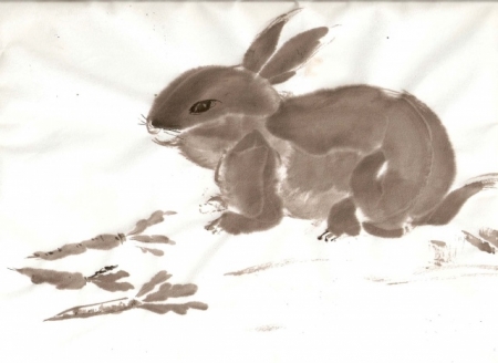 Contributor : Maria Gingell 